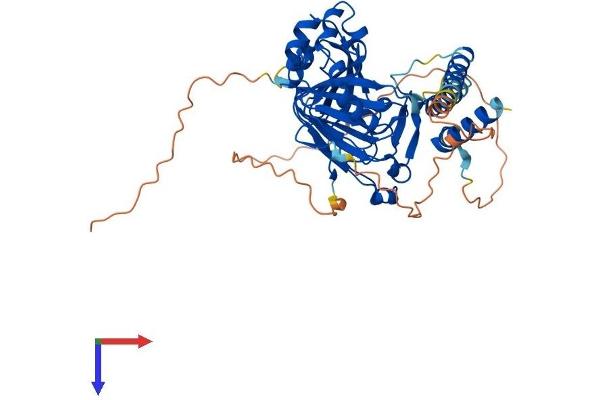 HSPBAP1 Protein (AA 1-488) (His tag)