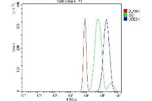 Flow Cytometry analysis of RH35 cells using anti-HIP2/LIG/UBE2K antibody (ABIN7601341).