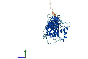 Protein Structure (PS) image for DnaJ (Hsp40) Homolog, Subfamily C, Member 27 (DNAJC27) (AA 1-273) protein (His tag) (ABIN7547059)