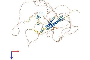 CEP68 Protein (AA 1-757) (His tag)