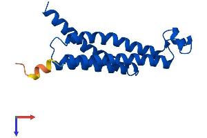 Prostaglandin E Synthase Protein (PTGES) (AA 1-153) (His tag)