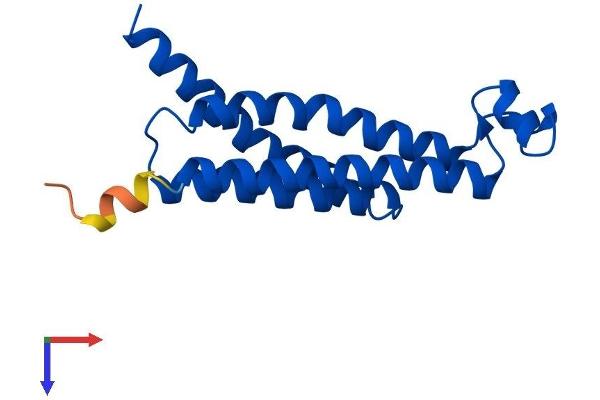 Prostaglandin E Synthase Protein (PTGES) (AA 1-153) (His tag)