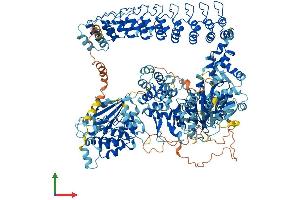Protein Structure (PS) image for Death-Associated Protein Kinase 1 (DAPK1) (AA 1-1430) protein (His tag) (ABIN7553617)