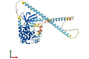 Protein Structure (PS) image for NIMA (Never in Mitosis Gene A)-Related Kinase 2 (NEK2) (AA 1-445) protein (His tag) (ABIN7554703)