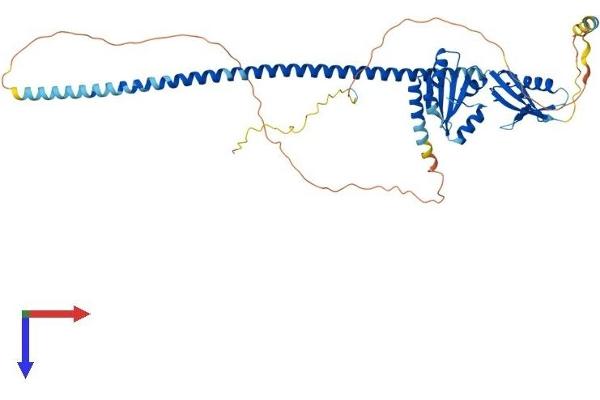 UBXD2 Protein (AA 1-508) (His tag)