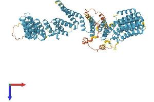 XAB2 Protein (AA 1-855) (His tag)