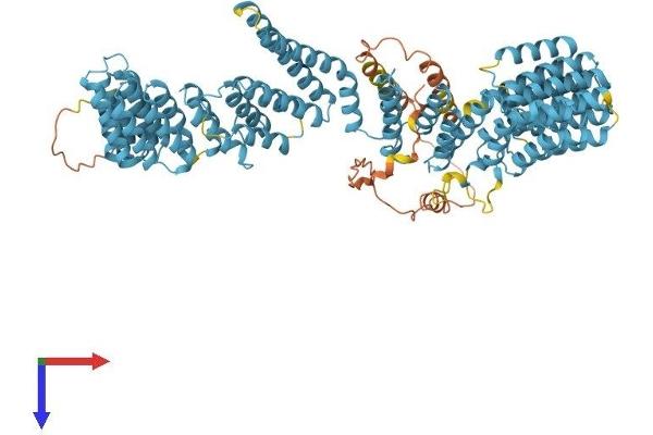 XAB2 Protein (AA 1-855) (His tag)
