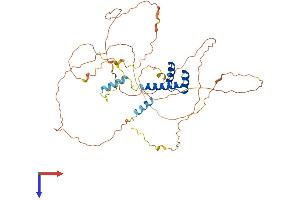 EVX2 Protein (AA 1-476) (His tag)