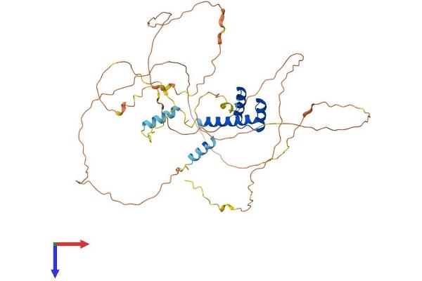 EVX2 Protein (AA 1-476) (His tag)