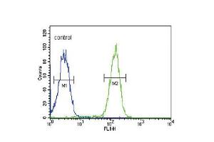 Flow Cytometry (FACS) image for anti-Solute Carrier Family 9, Subfamily A (NHE3, Cation Proton Antiporter 3), Member 3 Regulator 1 (SLC9A3R1) (AA 168-197) antibody (ABIN5538552)