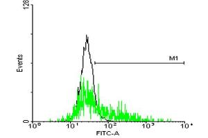 FACS analysis of negative control 293 cells (Black) and GPR143 expressing 293 cells (Green) using GPR143 purified MaxPab mouse polyclonal antibody. (GPR143 Antikörper  (AA 1-424))