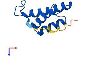 COX6B2 Protein (AA 1-88) (His tag)