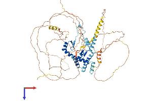 AKAP8L Protein (AA 1-642) (His tag)