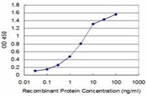 Detection limit for recombinant GST tagged HEY1 is approximately 0. (HEY1 Antikörper  (AA 121-220))