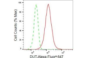 Flow cytometric analysis of DUT expression in HeLa cells using DUT antibody (ABIN7798312), 1:2,000). (Rekombinanter Deoxyuridine Triphosphatase (DUT) Antikörper)
