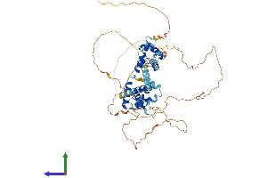 AlphaFold protein structure predicition of Human Recombinant NAB2 Protein, UniprotID Q15742