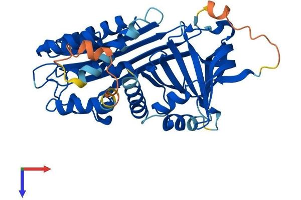 SERPINB12 Protein (AA 1-405) (His tag)