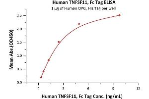 ELISA image for Tumor Necrosis Factor (Ligand) Superfamily, Member 11 (TNFSF11) (AA 64-245) protein (Fc Tag) (ABIN6253590)