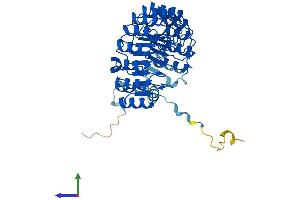 Protein Structure (PS) image for F-Box and Leucine-Rich Repeat Protein 2 (FBXL2) (AA 1-423) protein (His tag) (ABIN7553908)