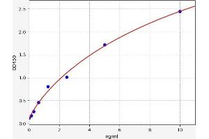 PKC delta ELISA Kit