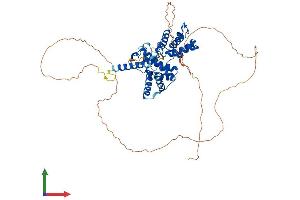 AlphaFold protein structure predicition of Mouse Recombinant Ccnl1 Protein, UniprotID Q52KE7