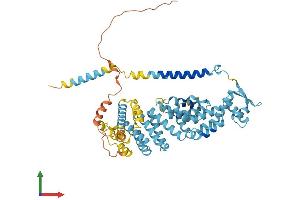 AlphaFold protein structure predicition of Human Recombinant PSMD3 Protein, UniprotID O43242