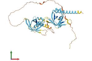 Protein Structure (PS) image for Prostate Tumor Overexpressed 1 (PTOV1) (AA 1-416) protein (His tag) (ABIN7551092)