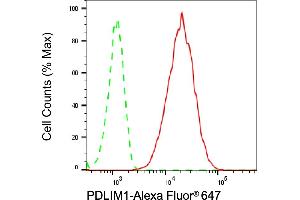 Flow cytometric analysis of PDLIM1 expression in HepG2 cells using PDLIM1 antibody (ABIN7799748), 1:2,000). (Rekombinanter PDLIM1 Antikörper)