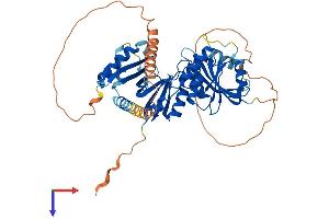 Protein Structure (PS) image for THUMP Domain Containing 2 (THUMPD2) (AA 1-503) protein (His tag) (ABIN7544407)
