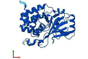 Protein Structure (PS) image for Protein Phosphatase 6, Catalytic Subunit (PPP6C) (AA 1-305) protein (His tag) (ABIN7550914)