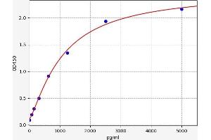 C9orf3 ELISA Kit