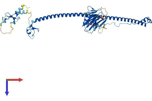 TRIM6 Protein (AA 1-488) (His tag)