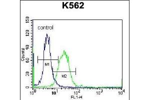 DOC2A Antibody (Center) (ABIN656766 and ABIN2845987) flow cytometric analysis of K562 cells (right histogram) compared to a negative control cell (left histogram).