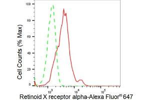 Flow cytometric analysis of Retinoid X receptor alpha expression in HeLa cells using Retinoid X receptor alpha antibody (ABIN7800191), 1:2,000). (Rekombinanter Retinoid X Receptor alpha Antikörper)