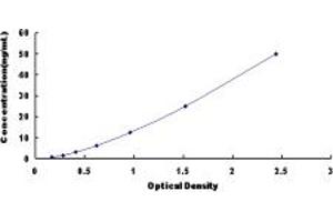 Typical standard curve (PARN ELISA Kit)