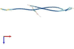 PLVAP Protein (AA 1-442) (His tag)