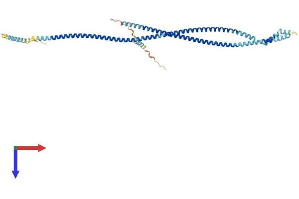PLVAP Protein (AA 1-442) (His tag)