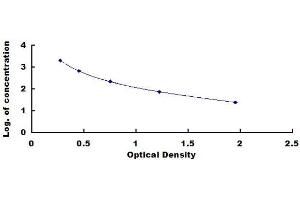 Typical Standard Curve