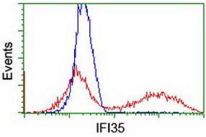 Image no. 2 for anti-Interferon-Induced Protein 35 (IFI35) antibody (ABIN1498799) (IFI35 Antikörper)