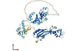 AlphaFold protein structure predicition of Human Recombinant EIF2D Protein, UniprotID P41214 (EIF2D Protein (AA 1-584) (His tag))