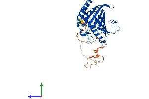 Protein Structure (PS) image for Phosphatidylinositol Transfer Protein, Cytoplasmic 1 (PITPNC1) (AA 1-332) protein (His tag) (ABIN7559582)