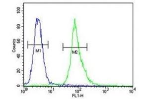AKT1 antibody flow cytometric analysis of MDA-MB435 cells (right histogram) compared to a negative control (left histogram).
