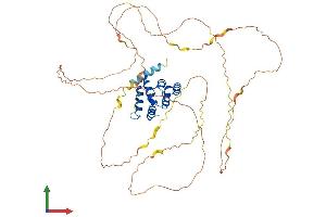 AlphaFold protein structure predicition of Mouse Recombinant Mavs Protein, UniprotID Q8VCF0 (MAVS Protein (AA 1-503) (His tag))