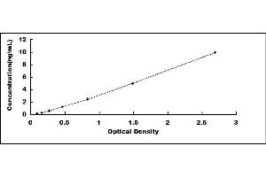 Typical standard curve (FOXP1 ELISA Kit)