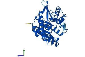 Protein Structure (PS) image for Pyridoxal Kinase (PDXK) (AA 1-312) protein (His tag) (ABIN7550609)