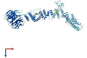 TGFBRAP1 Protein (AA 1-860) (His tag)