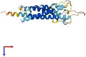 AlphaFold protein structure predicition of Human Recombinant TM4SF20 Protein, UniprotID Q53R12