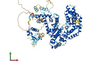 AlphaFold protein structure predicition of Mouse Recombinant Thap12 Protein, UniprotID Q9CUX1