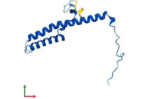 Protein Structure (PS) image for NADH Dehydrogenase (Ubiquinone) 1, Subcomplex Unknown, 2, 14.5kDa (NDUFC2) (AA 1-119) protein (His tag) (ABIN7549780)