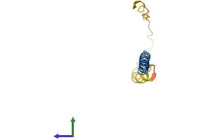 AlphaFold protein structure predicition of Human Recombinant C14orf132 Protein, UniprotID Q9NPU4